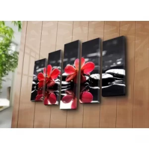 Image of 5PATK-45 Multicolor Decorative Canvas Painting (5 Pieces)