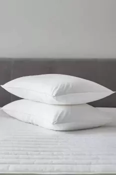 Image of Pair of Feels Like Down Pillows
