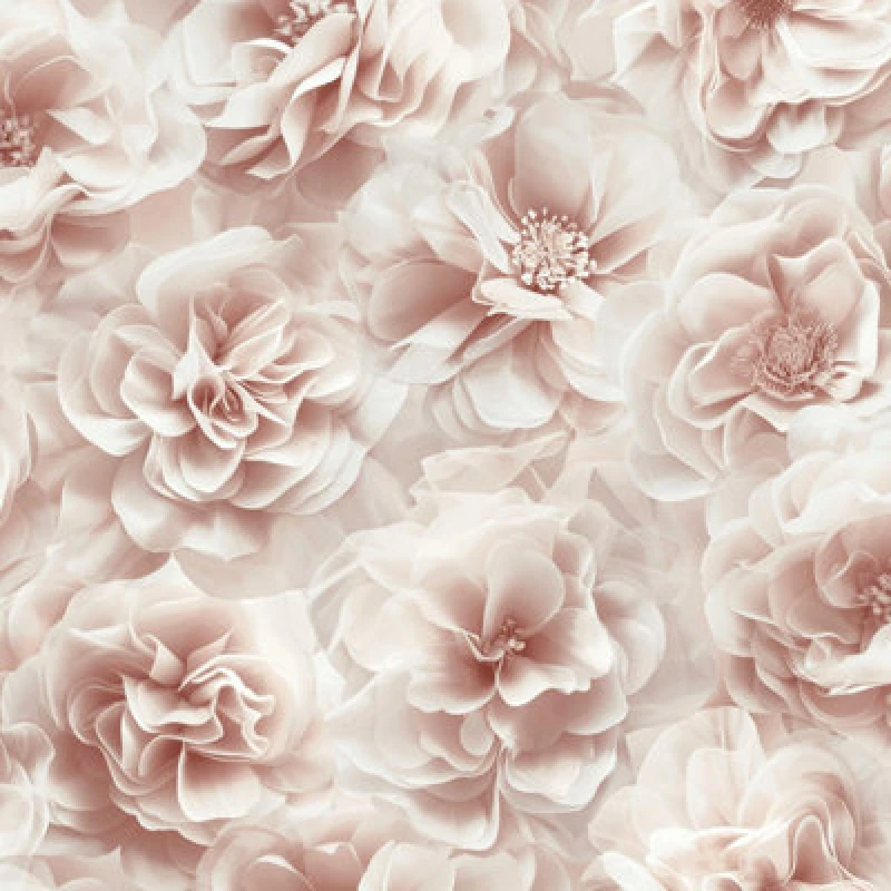 Image of Debona Bloom Pink Wallpaper Floral Rose Glamorous Stylish Feature Wall