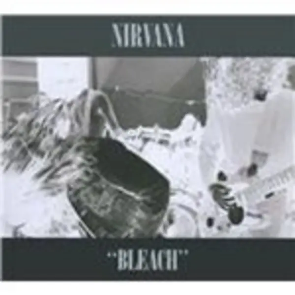 Image of bleach 0098787083422