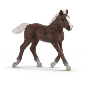 Image of Schleich Farm World Black Forest Foal Figure