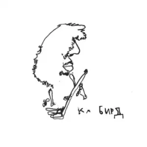 Image of Sapropelic Pycnic by Ka Baird Vinyl Album