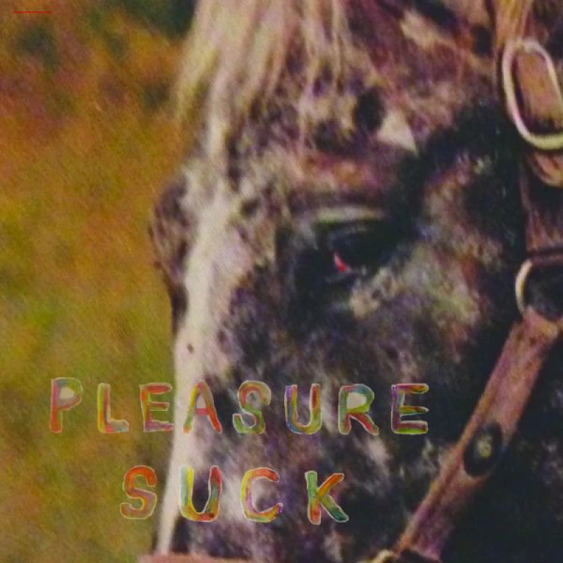 Image of Pleasure Suck CD / Album