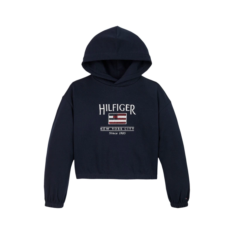 Image of Fleece Sequin Logo Hoodie