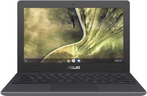 Image of Asus Chromebook C204 11.6" Laptop