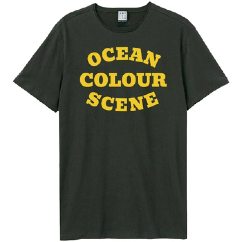 Image of Amplified Mens Ocean Colour Scene Logo T-Shirt in Charcoal Size: XS Charcoal Male XS