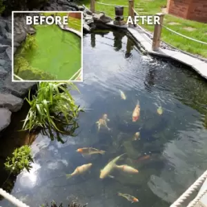 Image of YouGarden Blooming Fast Pond Clear Pro 2 Step Pack - Extra Large