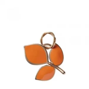 Image of Autumn Leaf