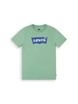 Image of Baby Batwing Tee - Green