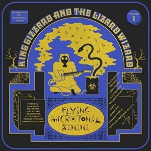 Image of King Gizzard & The Lizard Wizard - Flying Microtonal Banana Vinyl