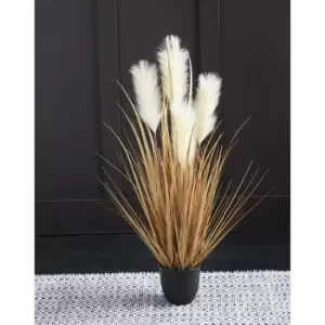 Image of 90cm Artificial Pampas in Cream