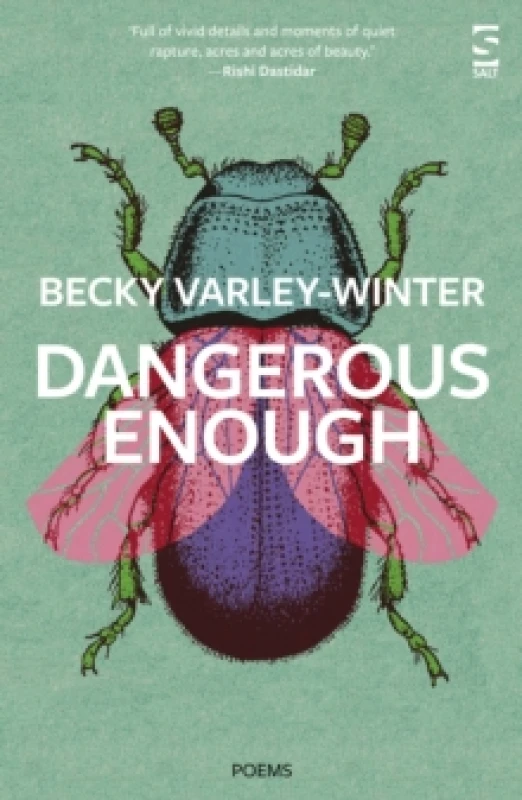 Image of Dangerous Enough Paperback / softback