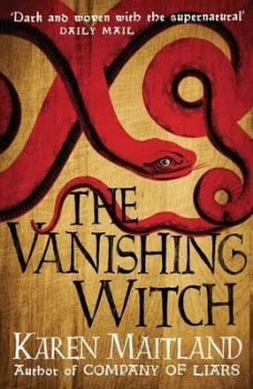 Image of The Vanishing Witch by Karen Maitland Book