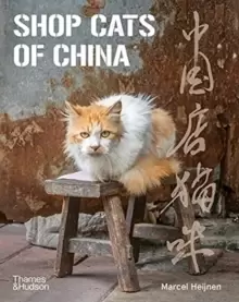 Image of Shop Cats of China