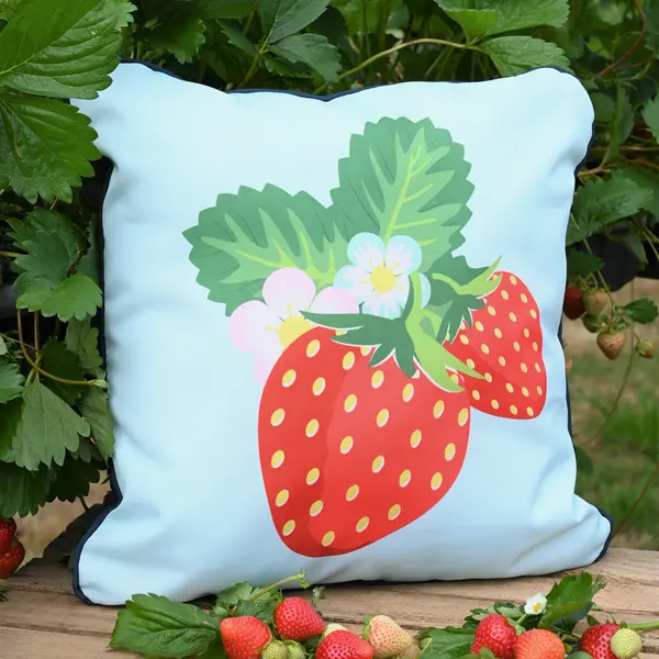 Image of Strawberries & Cream Outdoor Picnic Cushion MultiColoured