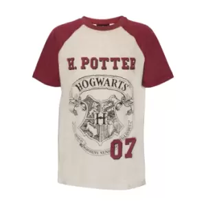 Image of Harry Potter Childrens/Kids Hogwarts T-Shirt (5-6 Years) (Oatmeal Marl)