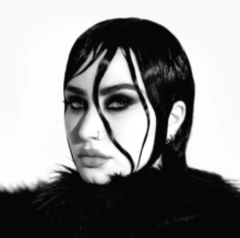 Image of REVAMPED Vinyl