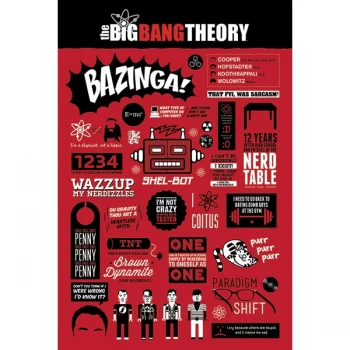 Image of The Big Bang Theory - Infographic Maxi Poster