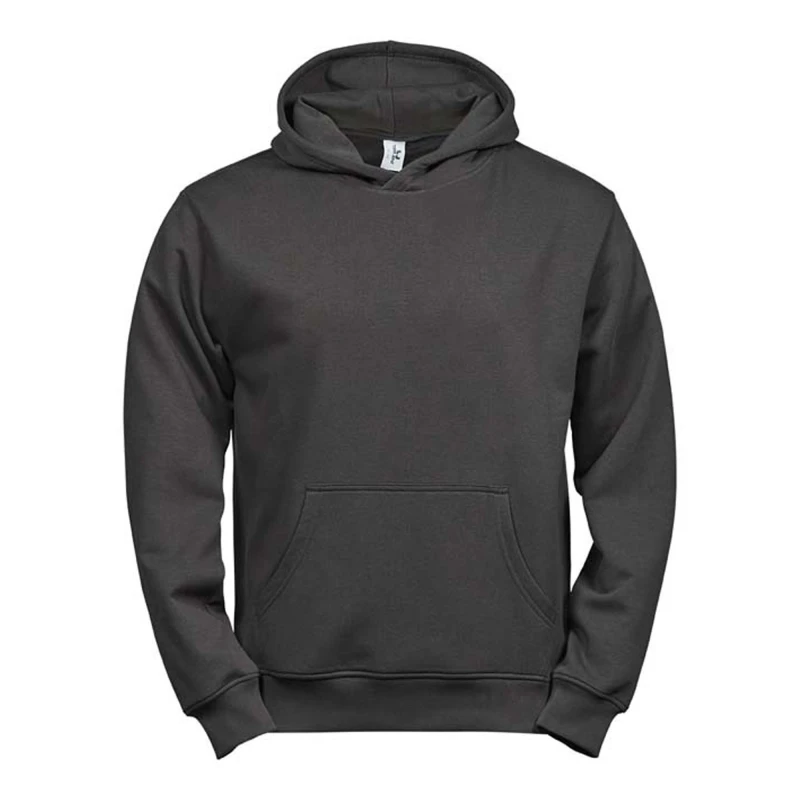 Image of Tee Jays Power boys's Children's sweatshirt in Grey