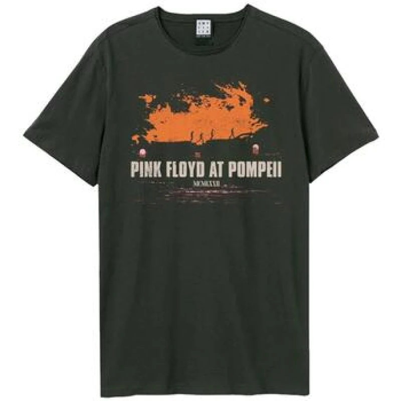 Image of Amplified Amplified Men Pompeii Sunset Pink Floyd T-Shirt in Charcoal Size: X-Small Charcoal XS Male 5063806628057