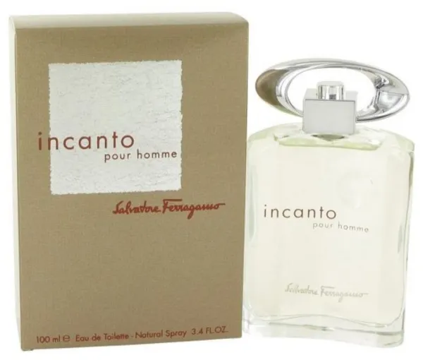 Image of Salvatore Ferragamo Incanto Pour Homme Eau de Toilette For Him 100ml