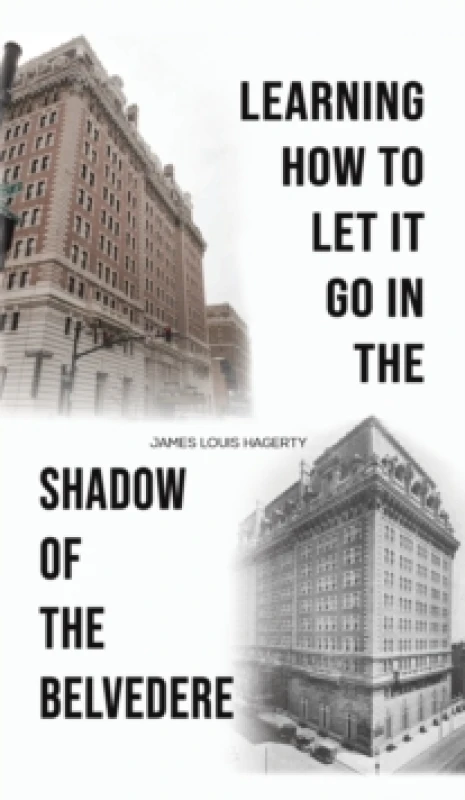Image of Learning How to Let It Go in the Shadow of the Belvedere Hardback