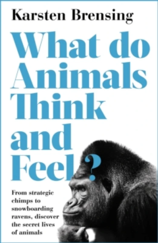 Image of What Do Animals Think and Feel? Paperback / softback