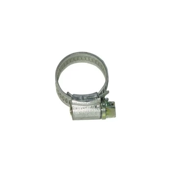 Image of Hose Clips M/S 1 25-35mm - Pack of 10 - PHC06X - Pearl Consumables