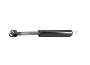 Image of RIDEX Tailgate strut MERCEDES-BENZ 219G0191 1249800164,1249800264,A1249800164 A1249800264