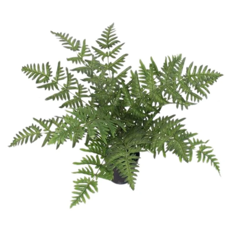 Image of Leaf 50Cm Luxury Artificial Evergreen Fern Plant, Green 7145-V4