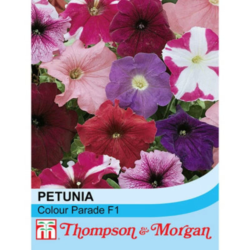 Image of Thompson & Morgan Petunia Colour Parade Mixed F1 Hybrid 1 Seed Packet (100 Seeds)