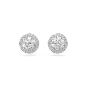 Image of Constella Stud Round Cut Pav White Rhodium Plated Earrings 5636269