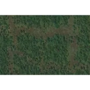 Image of Forest Battle Mat: D&amp;D Icons of the Realms