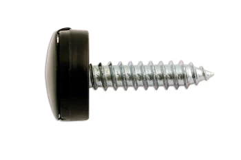 Image of Number Plate Security Screw-Black Pk 100 Connect 30635