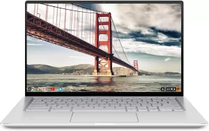 Image of Asus Chromebook C425 14" Laptop