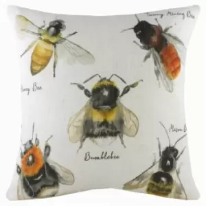 Image of Evans Lichfield - Species Bees Watercolour Print Cushion Cover, Multi, 43 x 43 Cm