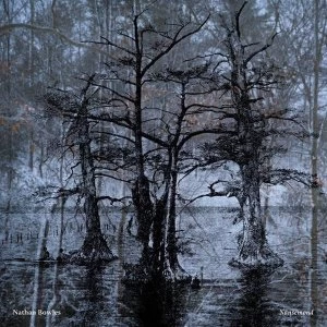 Image of Nathan Bowles - Nansemond Vinyl