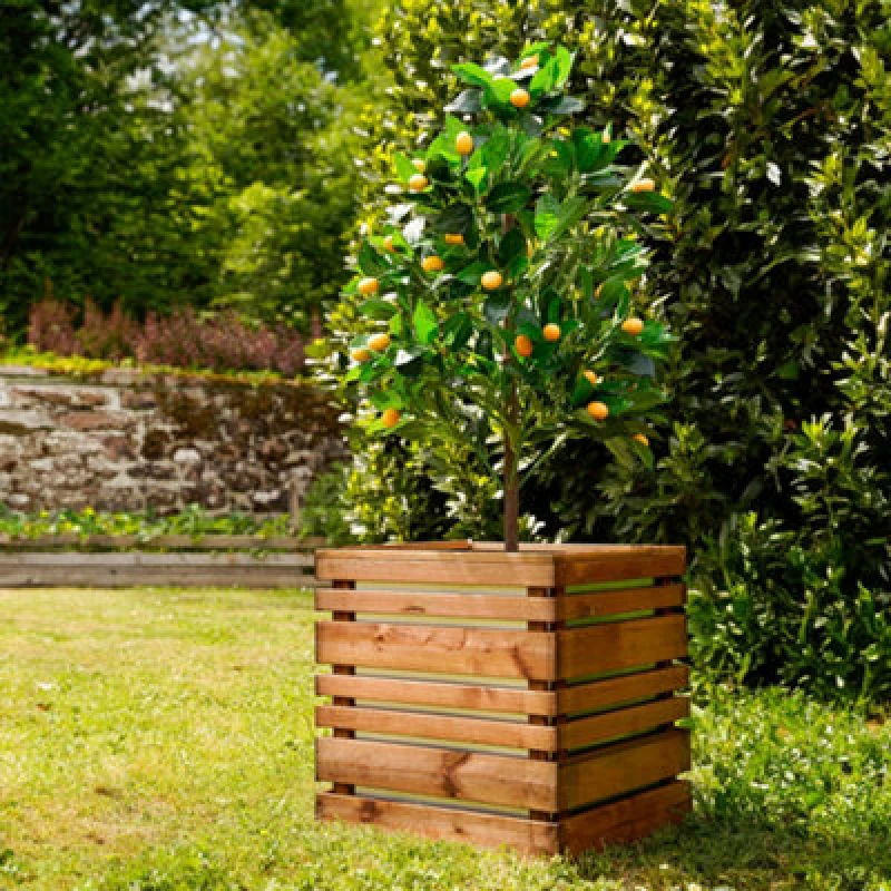 Image of Cerland Lign Z Outdoor Square Wooden Planter 50Cm