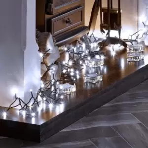 Image of The Winter Workshop - String Lights - 600 LEDs - Cool White