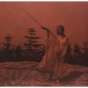 Image of Unknown Mortal Orchestra - II Vinyl