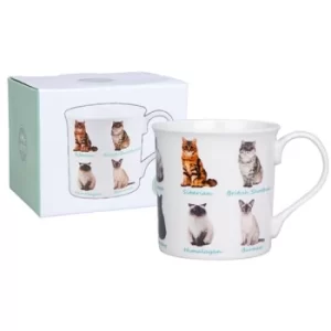 Image of Collection Mug Cats