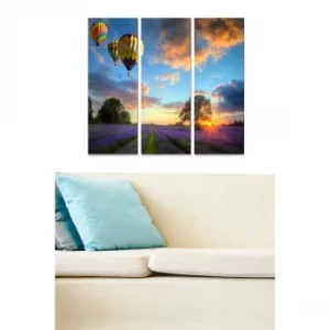 Image of MDF71296 Multicolor Decorative MDF Painting (3 Pieces)