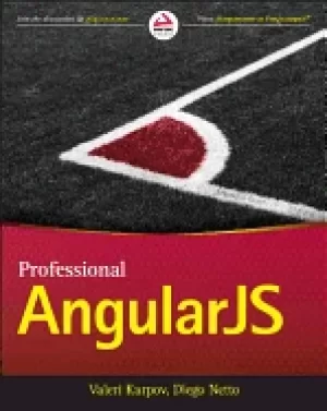 Image of professional angularjs