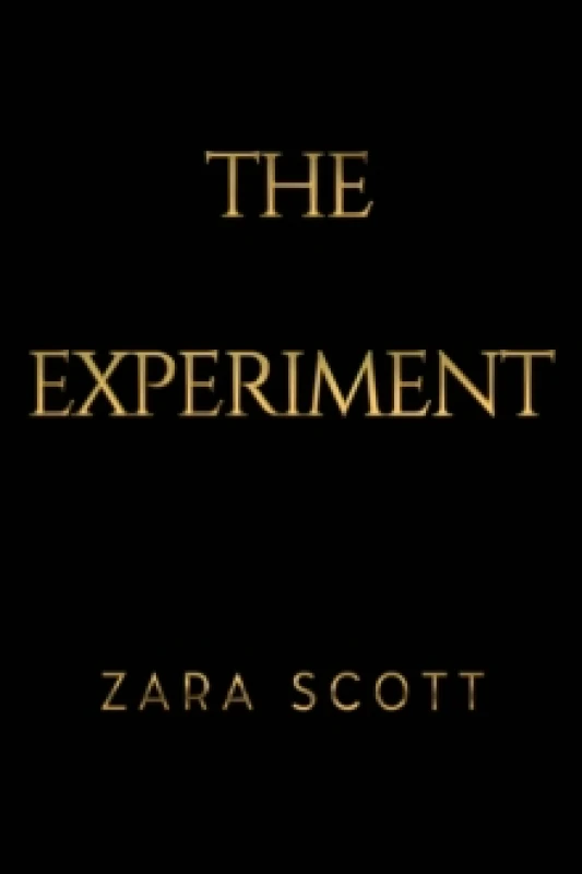 Image of The Experiment Paperback / softback