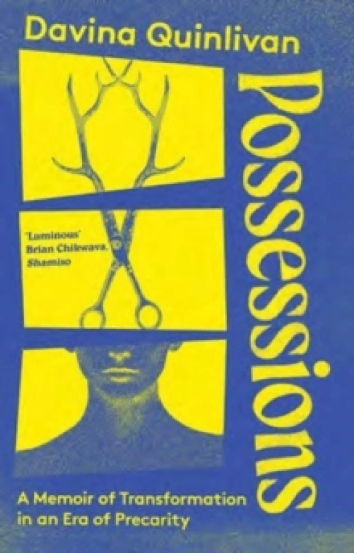 Image of Possessions. Paperback. By Davina Quinlivan Books
