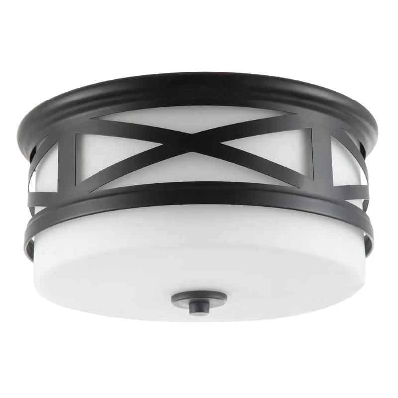 Image of Happy Homewares Vintage & Classic Bathroom Flush Ceiling Light with Strap Design in Black Unisex