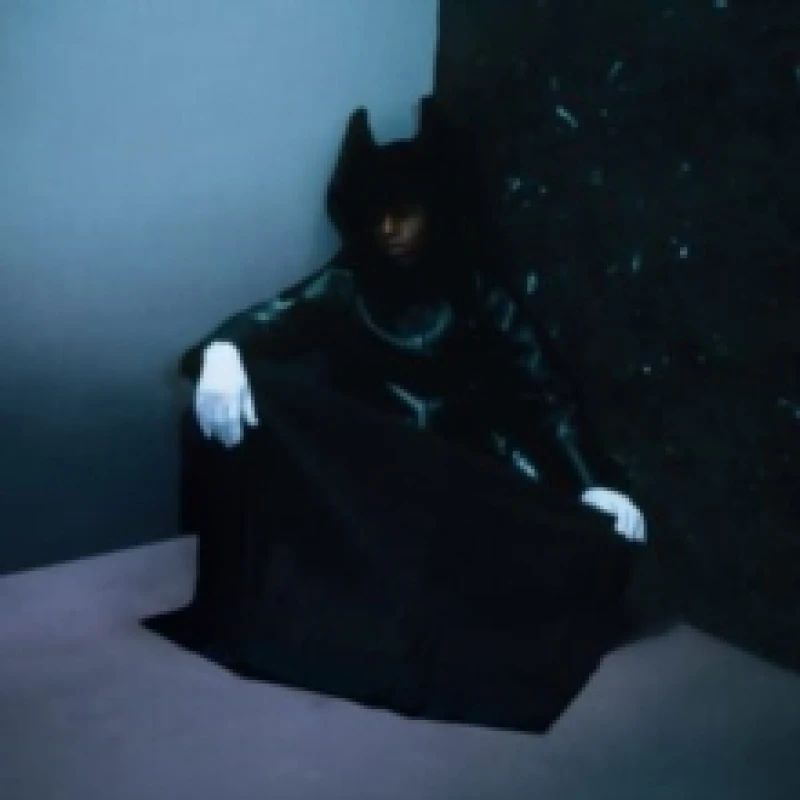 Image of Nobody's Home Vinyl