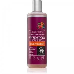 Image of Urtekram Nordic Berries Hair Shampoo For Damaged Hair 250ml