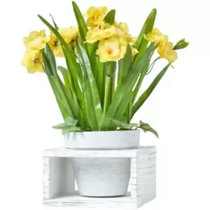 Image of Homescapes - Yellow Artificial Daffodils in White Wooden Pot, 35cm - Yellow - Yellow - Yellow