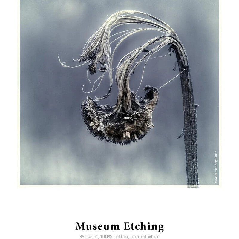 Image of Back to the Office Hahnemuhle Museum Etching Art paper 25 sheets 10641649